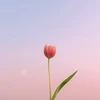 うい