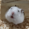 ちゅ