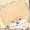 zzz