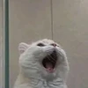 満