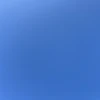 いか