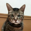 omiimon1211