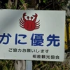 お先にいいですよ