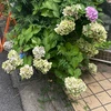 リ