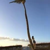 ayanon
