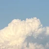 hatsumi