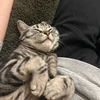ア