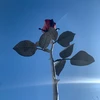 チコ