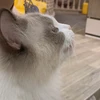 ホラー映画大好きマン