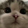 みみ