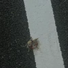 朝考える
