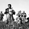 傑作映画を解説する人