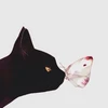 ひな