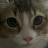 まなみん