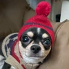 はなゲ