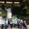 しんごテースト