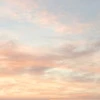 とある王国のキシ