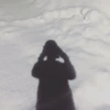 林檎