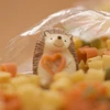 あおい