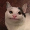 コーキ