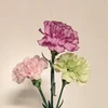 ニョロニョロ