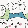 明日は幕の内弁当