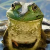 生えかけの差し歯