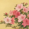 皐月