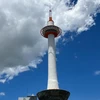 onigiriy