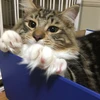 ゼロ