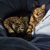 やま