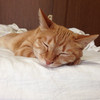 nana