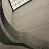 腕と爪