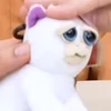 ねおん