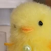 あるふぁ