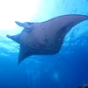 KeiTa