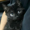 ポ