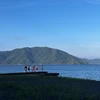 コーヒー豆