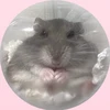ぽん