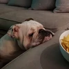 ヒロキ