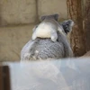 リョウタ