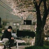 Tomo
