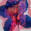 kanako