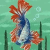 ナイルパーチ
