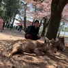 こーた