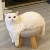 マイネーム