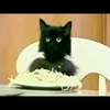 底辺のよすかわ