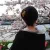 すみれ830