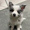 けいちゃん