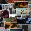 ツキサノの映画百夜